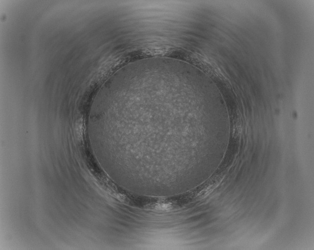 X0000072970647200608041219