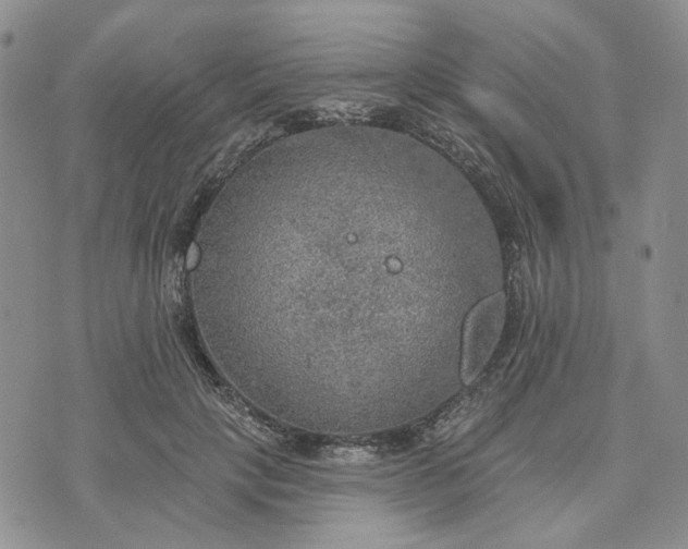 X0000072970649200608041219