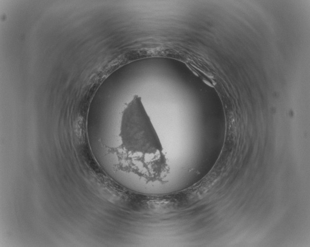 X0000072970650200608041219