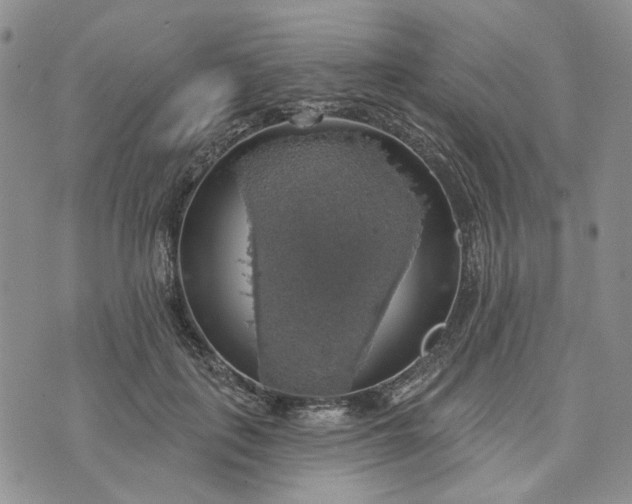 X0000072970651200608041219