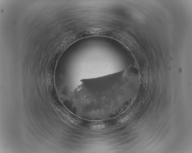 X0000072970653200608041219