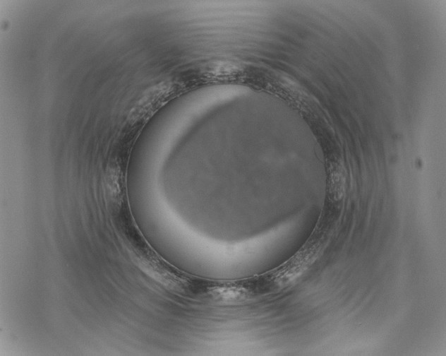 X0000072970654200608041219