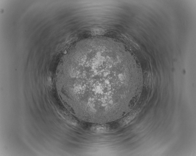 X0000072970655200608041219