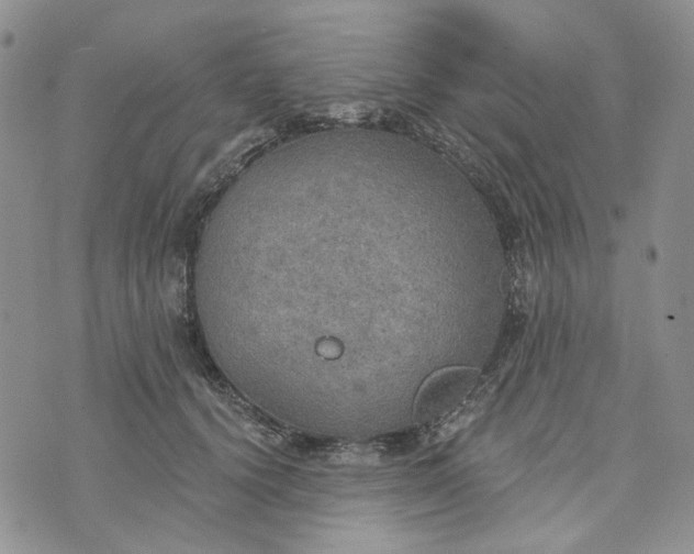 X0000072970656200608041219