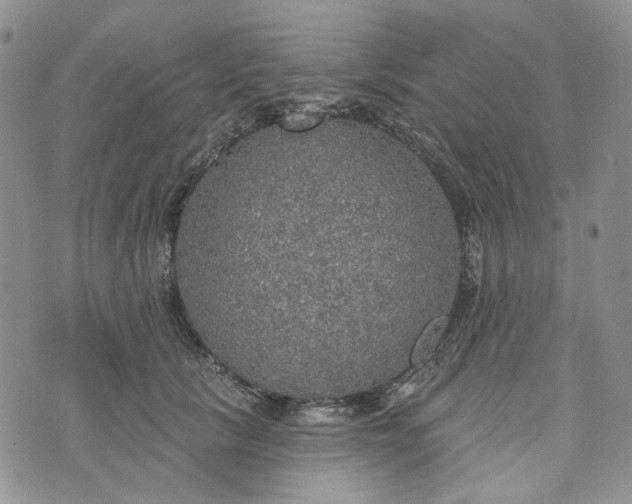 X0000072970657200608041219