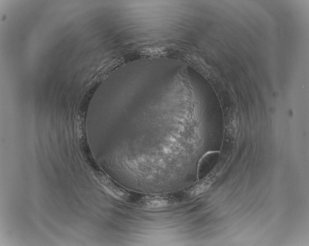 X0000072970658200608041219