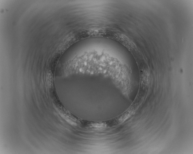 X0000072970659200608041219