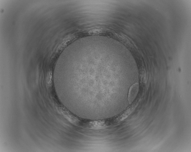 X0000072970660200608041219