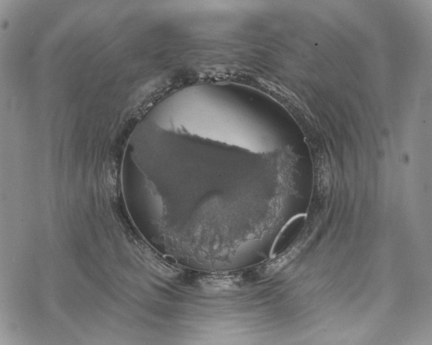 X0000072970661200608041219