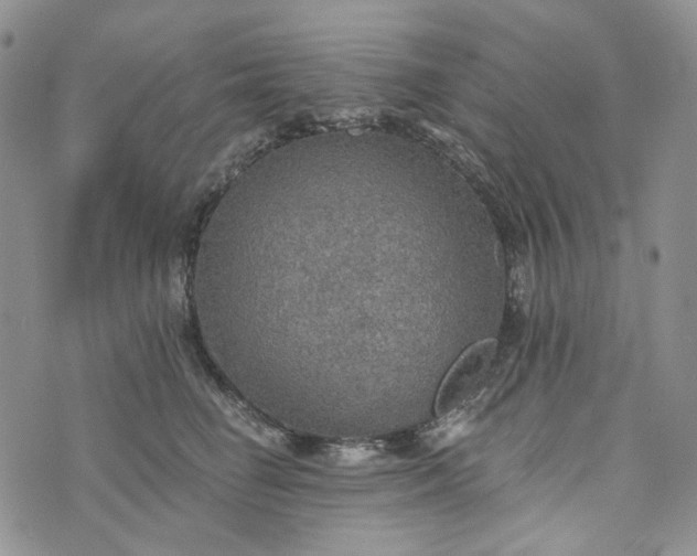 X0000072970662200608041219