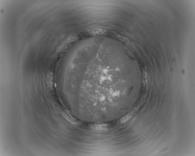 X0000072970664200608041219