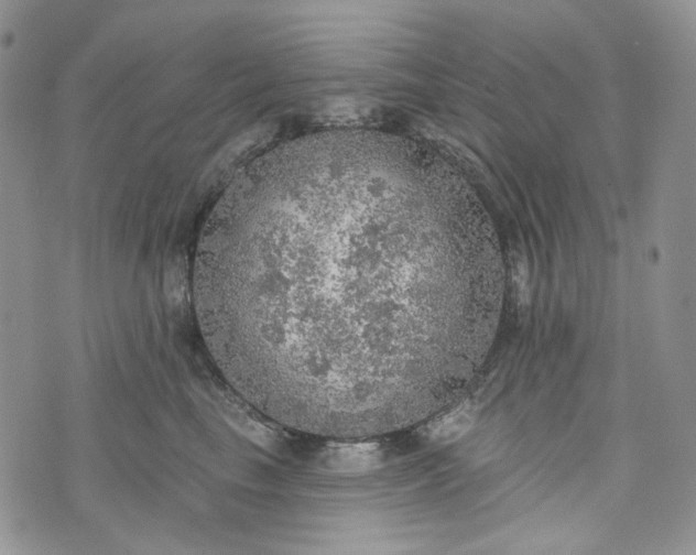 X0000072970665200608041219