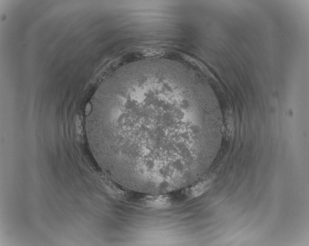 X0000072970667200608041219