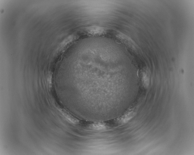 X0000072970668200608041219