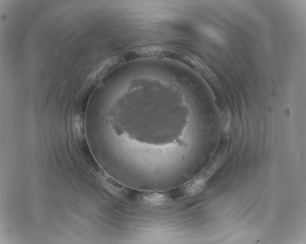 X0000072970669200608041219