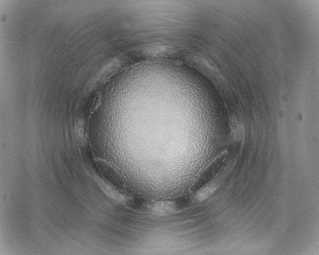 X0000072970670200608041219