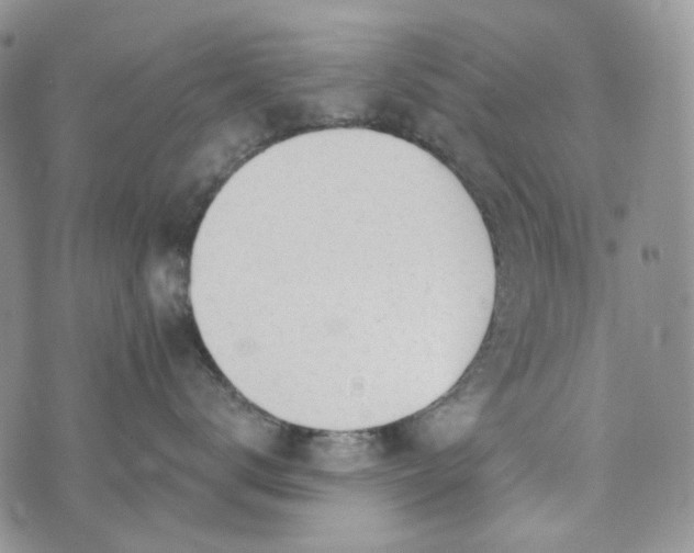 X0000072970672200608041219