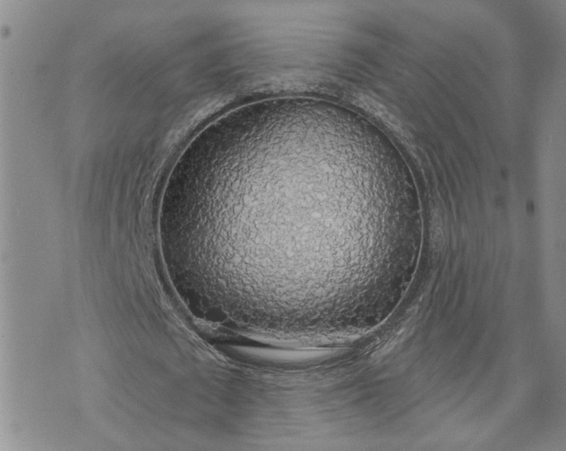 X0000072970673200608041219