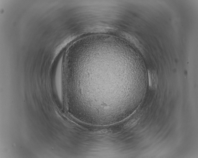 X0000072970675200608041219