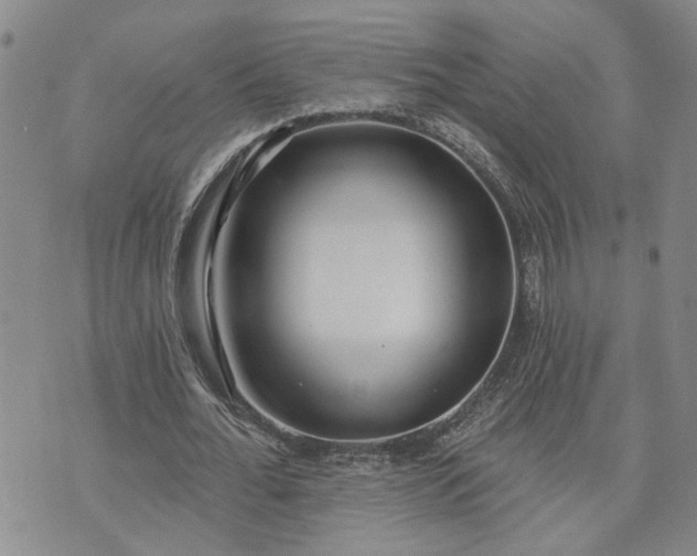 X0000072970676200608041219