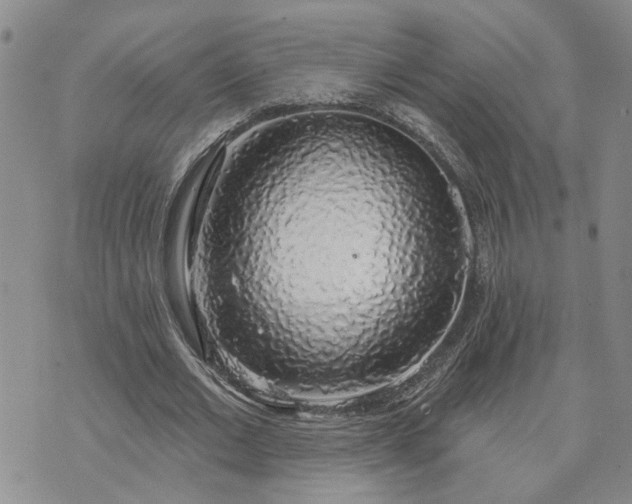 X0000072970677200608041219