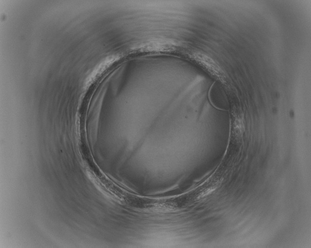 X0000072970678200608041218