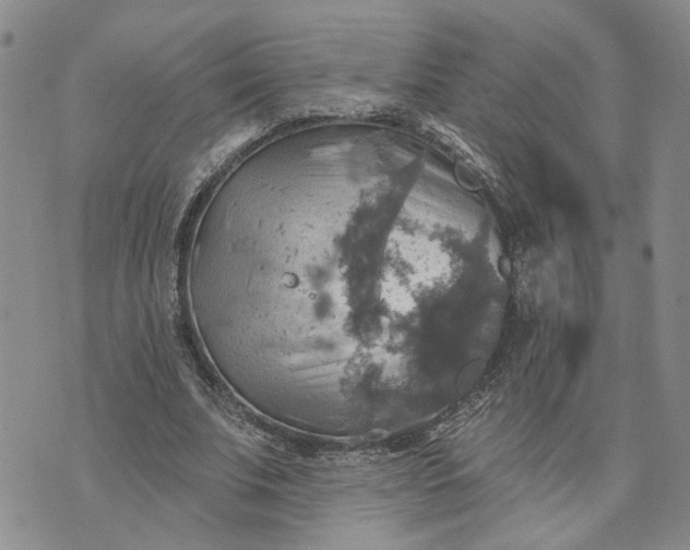 X0000072970679200608041218