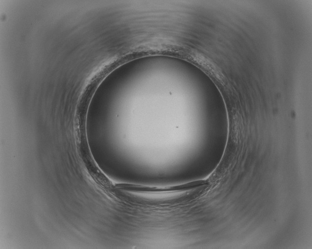 X0000072970680200608041218