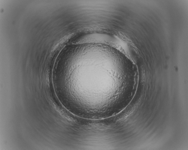 X0000072970681200608041218