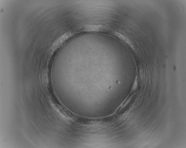 X0000072970682200608041218