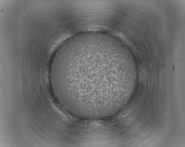 X0000072970683200608041218