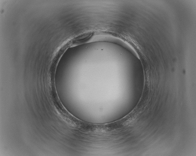 X0000072970684200608041218