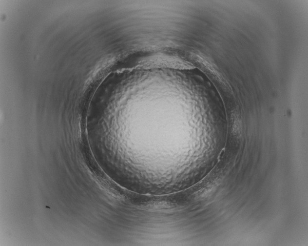 X0000072970685200608041218