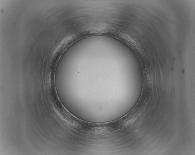 X0000072970686200608041218