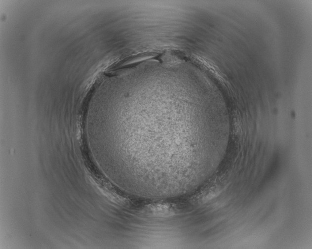 X0000072970687200608041218