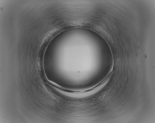 X0000072970688200608041218