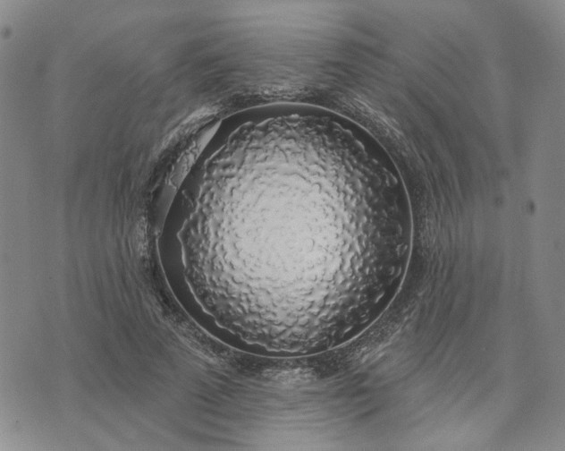 X0000072970689200608041218