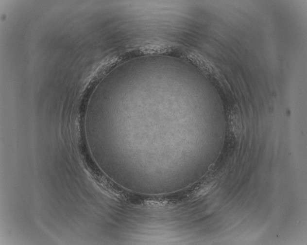 X0000072970690200608041218