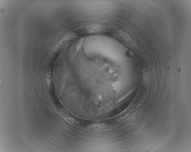 X0000072970691200608041218