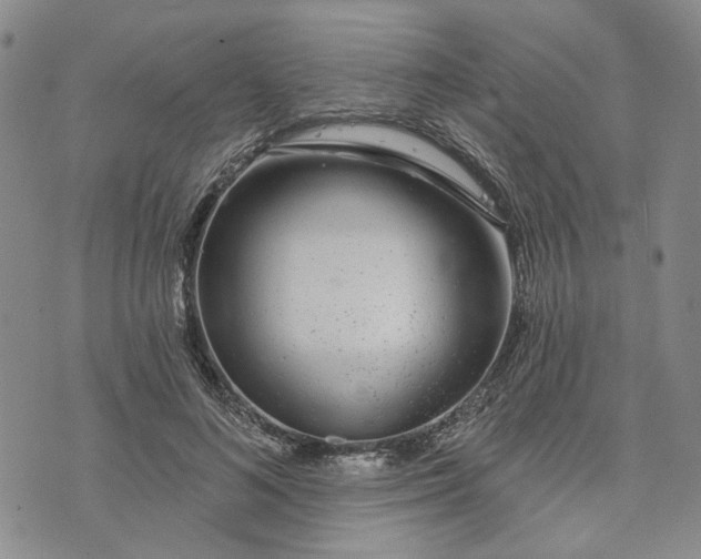 X0000072970692200608041218