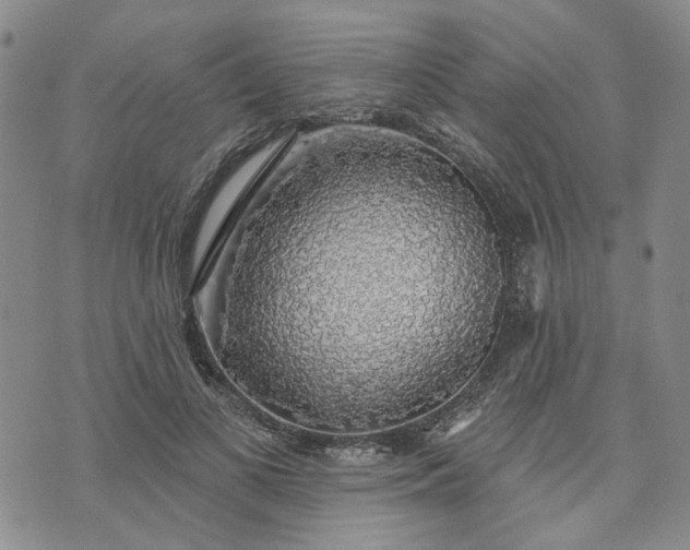 X0000072970693200608041218