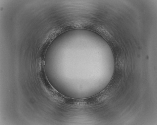 X0000072970694200608041218