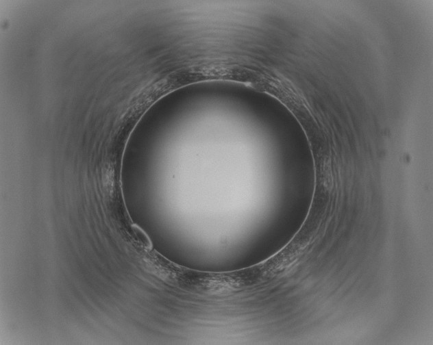 X0000072970697200608041218