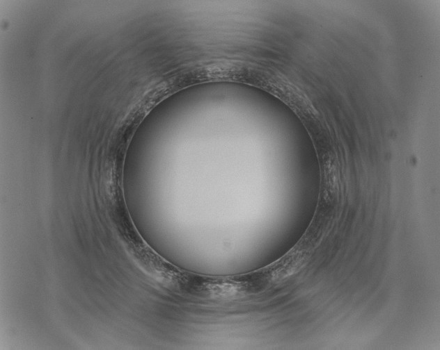 X0000072970698200608041218