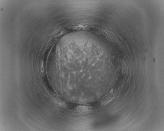 X0000072970699200608041218