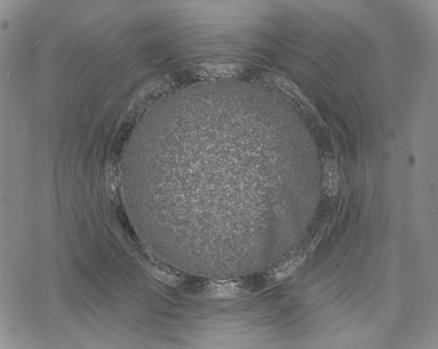 X0000072970701200608041218