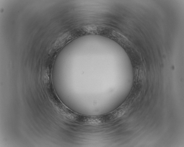 X0000072970702200608041218