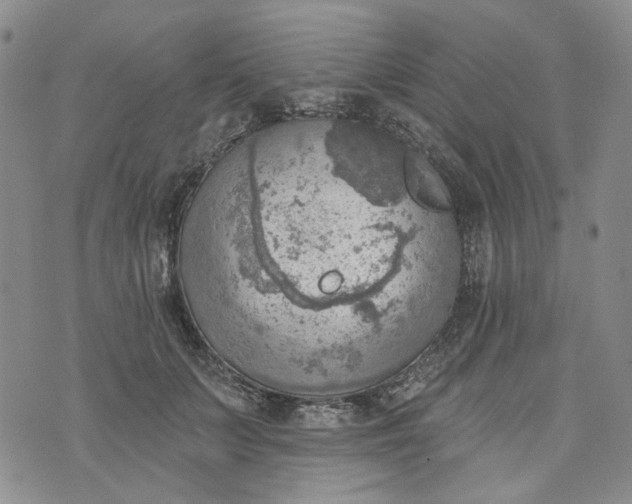 X0000072970703200608041218