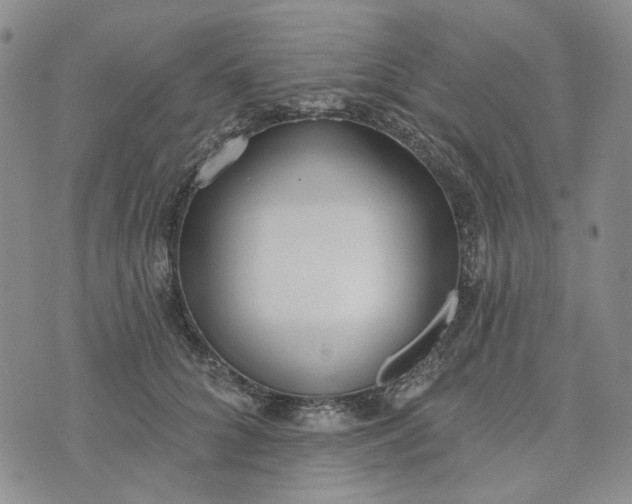 X0000072970704200608041218