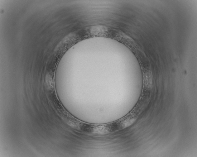 X0000072970705200608041218